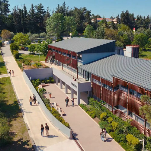 Anatolia American University