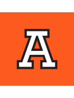 International Business