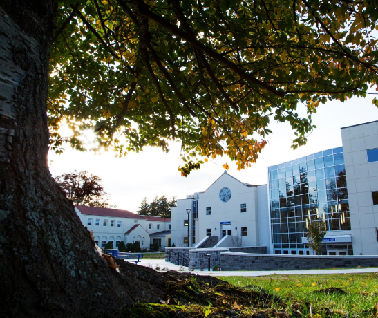 Berkeley College (Online)