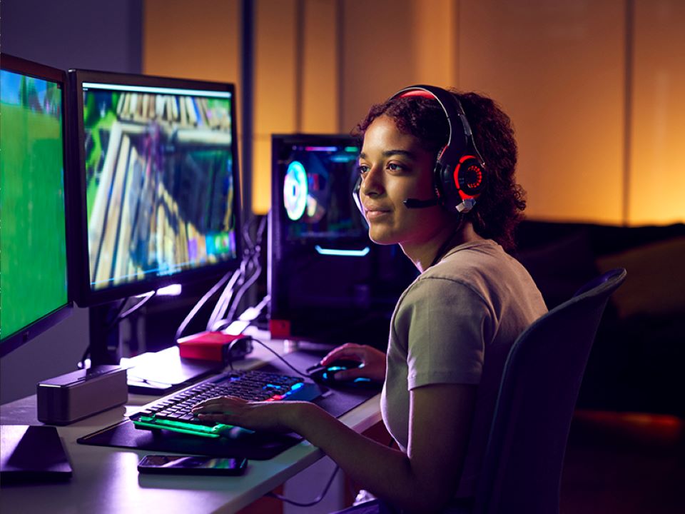 BIC - Budapest International College