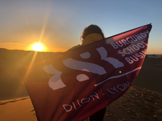 Burgundy School of Business (BSB)