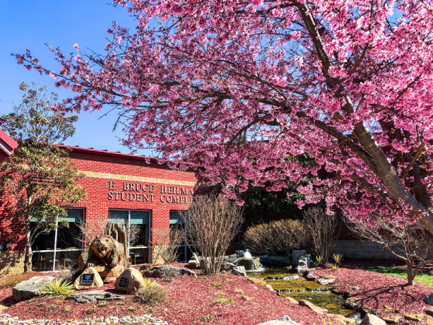 Campbellsville University