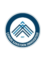 Business Administration (MBA) (Thesis)