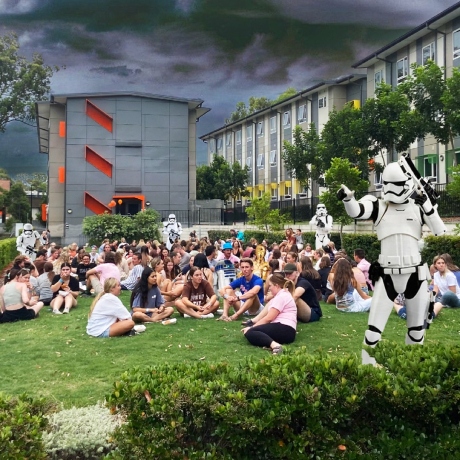 Charles Sturt University