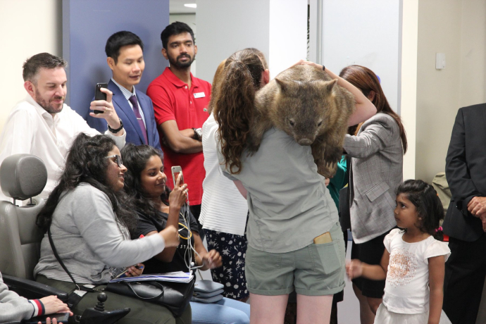 CIC Higher Education