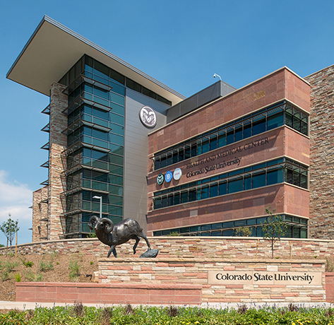 Colorado State University