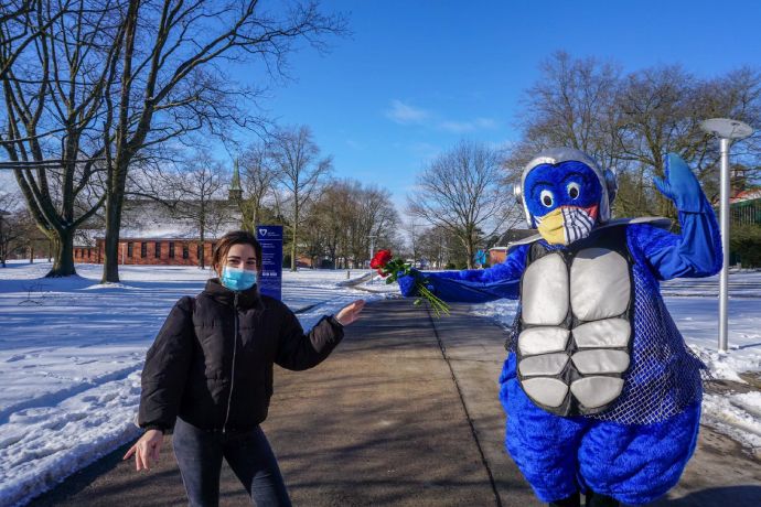 Constructor University