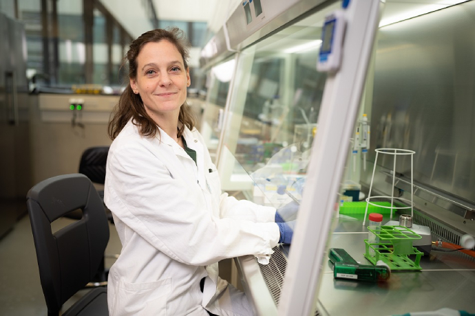 Delft University of Technology (TU Delft) - Courses