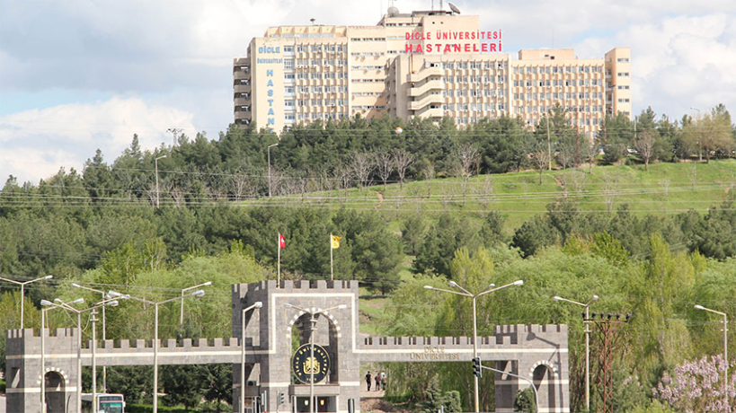 Dicle University