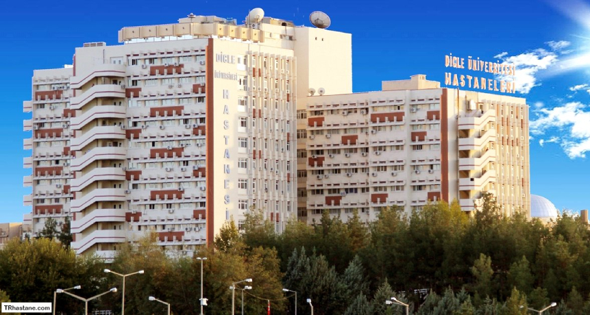 Dicle University