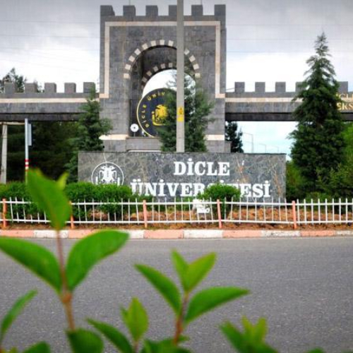 Dicle University | Brive