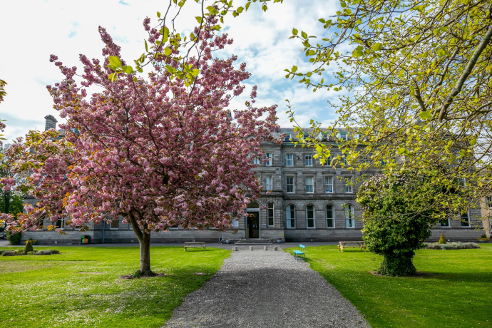 Dublin City University