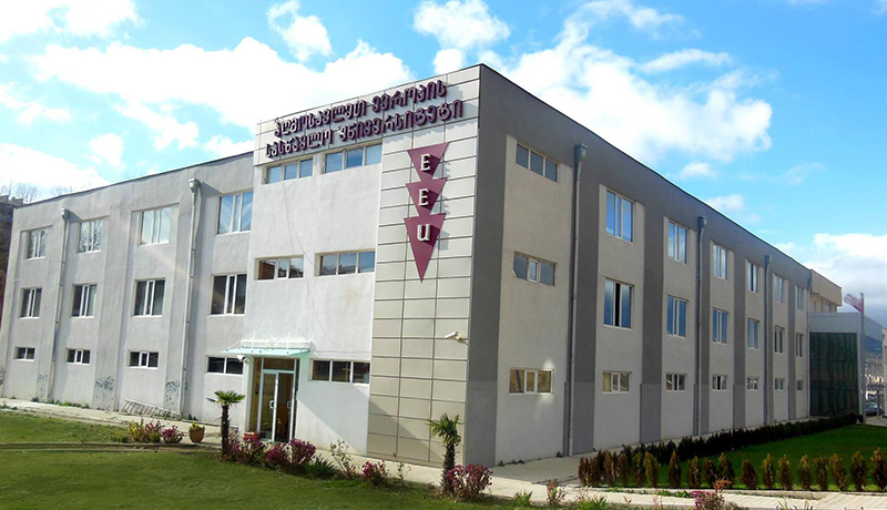 East European University