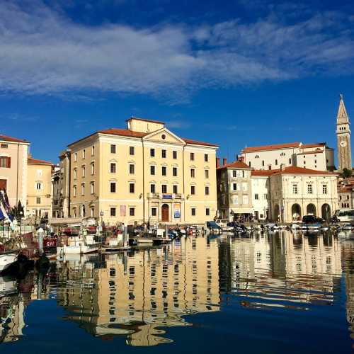 EMUNI University | Brive