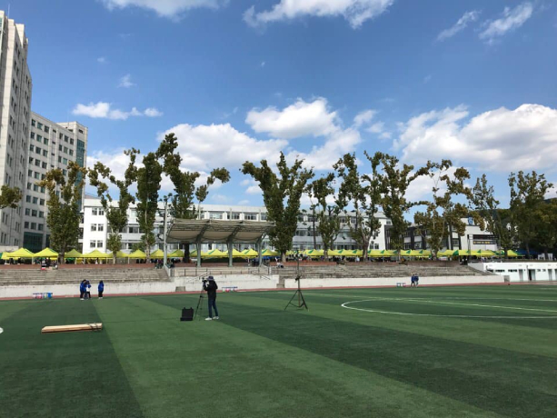 Endicott College of International Studies