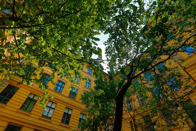 Eotvos Lorand University