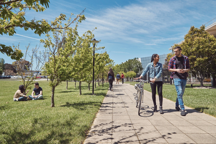 Federation University (Berwick)