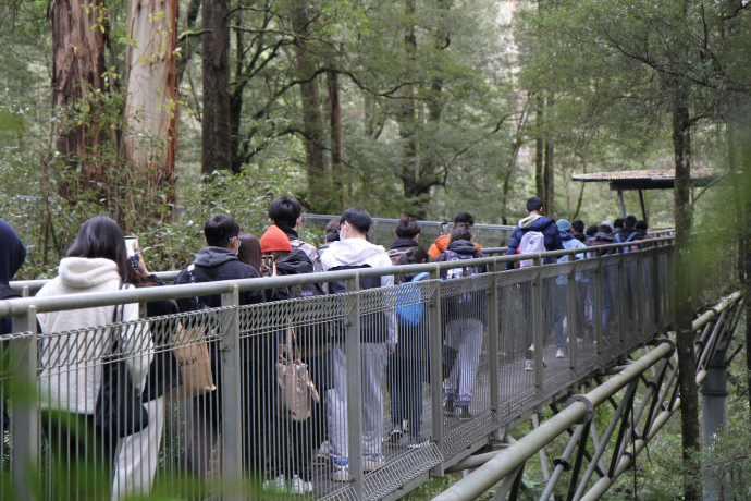 Federation University (Mt Helen)