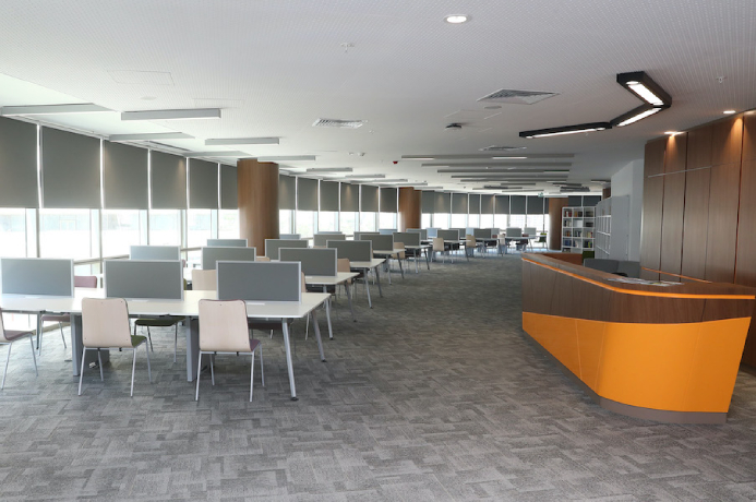 Fenerbahce University