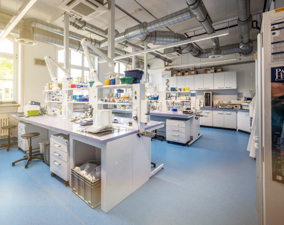 Fresenius University of Applied Sciences