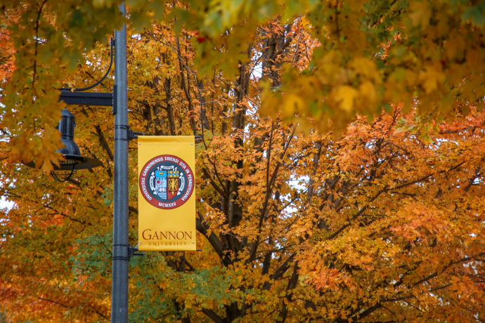 Gannon University (Erie)