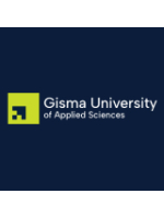 Leadership for Digital Transformation (Online) (MSc) - GISMA