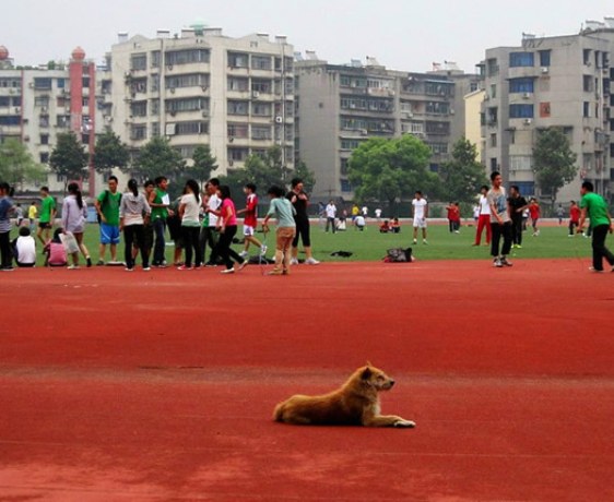 Hubei Normal University