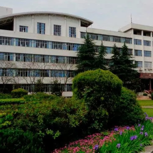 Hubei Normal University | Brive