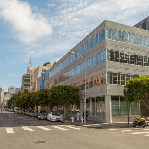 Hult International Business School San Francisco | Brive