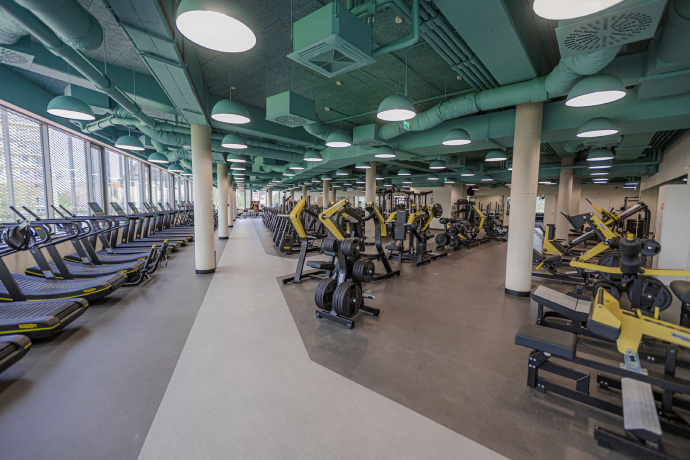 Hungarian University of Sports Science