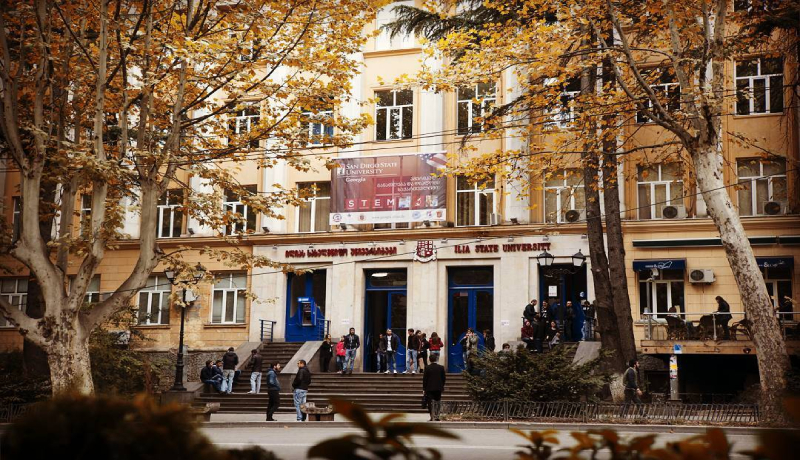 Ilia State University