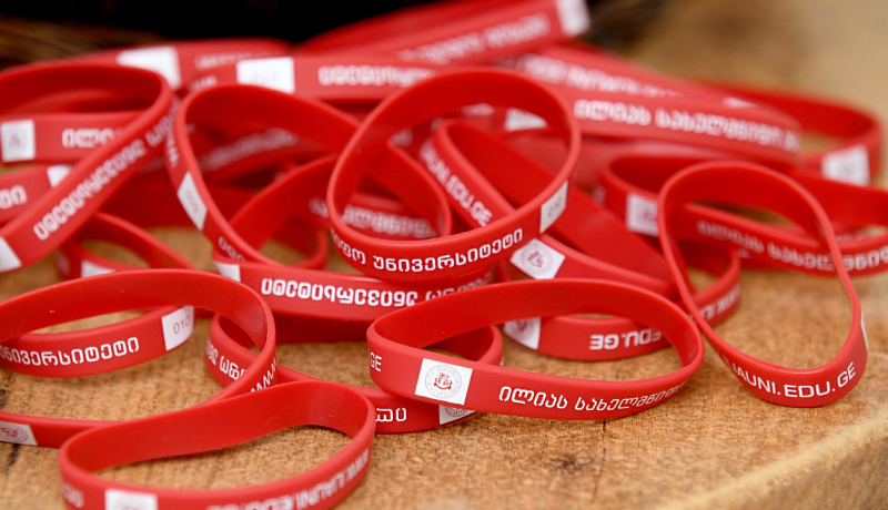 Ilia State University