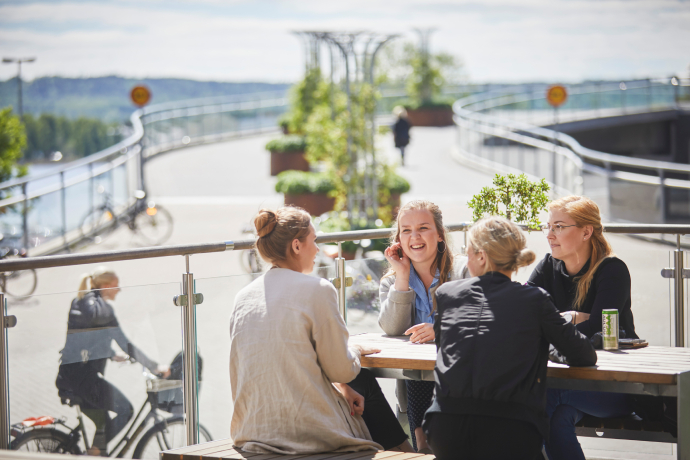 Jonkoping University