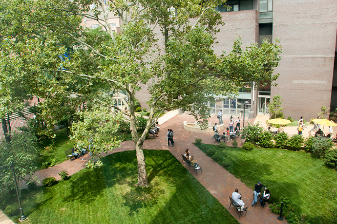 LIU Brooklyn (Long Island University)