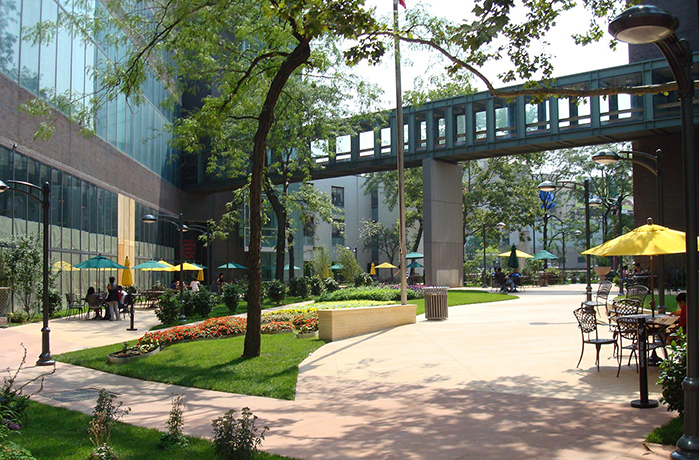 LIU Brooklyn (Long Island University)