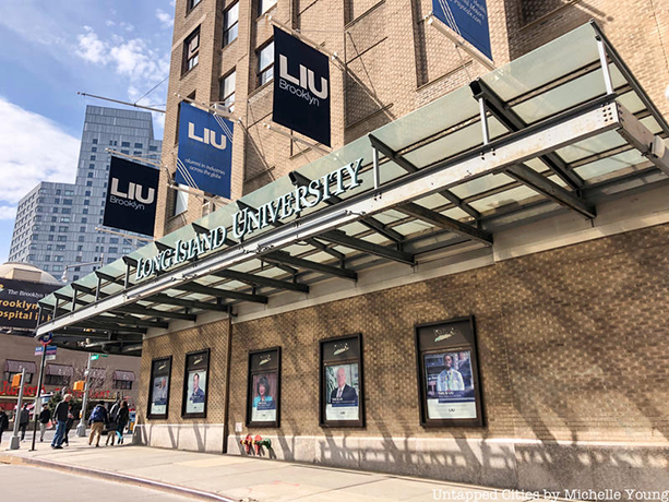LIU Brooklyn (Long Island University)