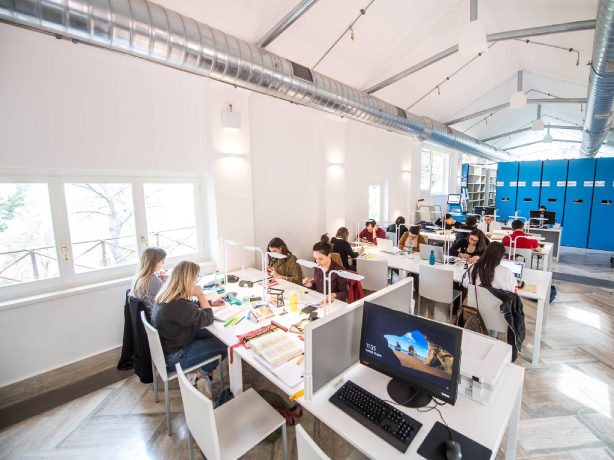 Luiss Guido Carli University