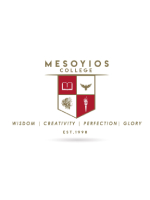 Bachelor in Business Administration - Mesoyios College