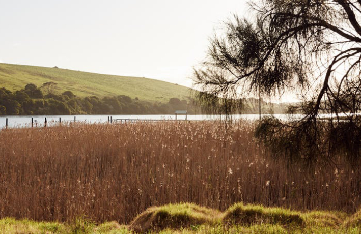 Deakin University (Warrnambool)