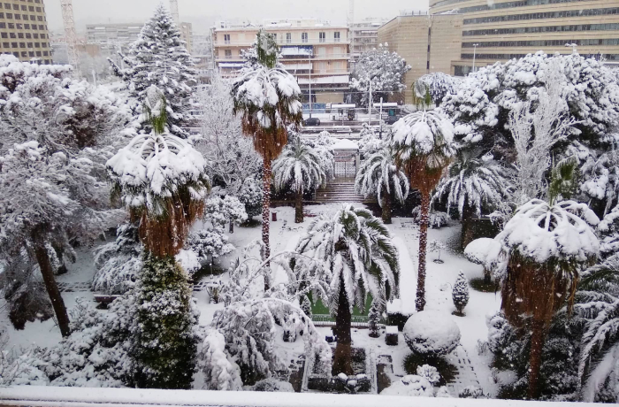 Panteion University of Social and Political Sciences