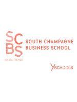 Πτυχίο στη Διοίκηση Επιχειρήσεων (BBA) - SCBS (Y SCHOOLS)