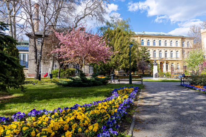 Semmelweis University