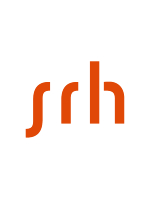 Πτυχίο σε Digital Transformation Management (BSc) - Haarlem