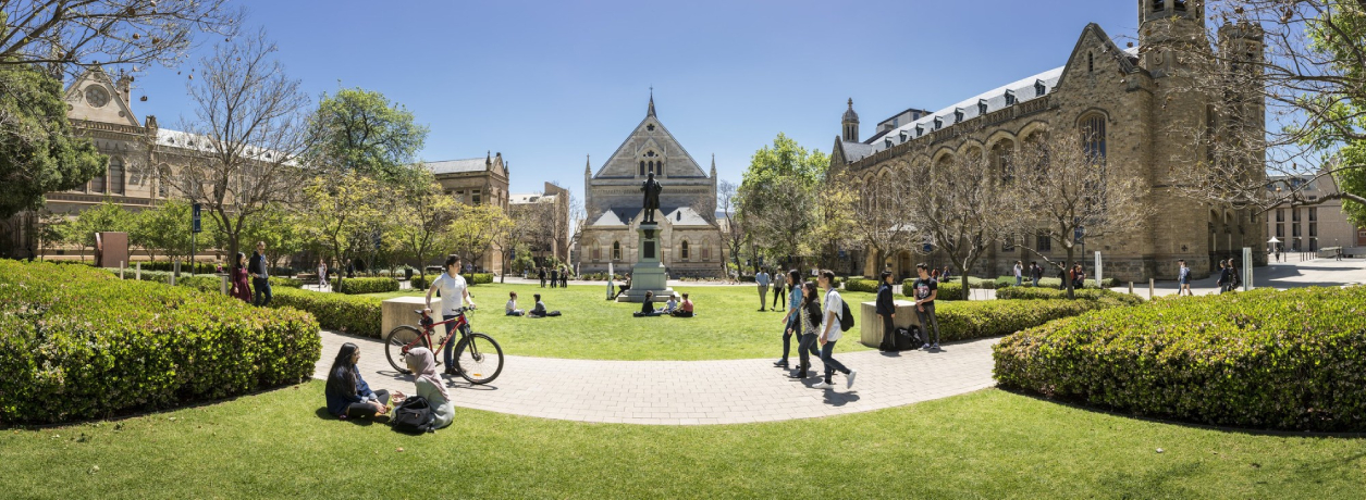 The University of Adelaide