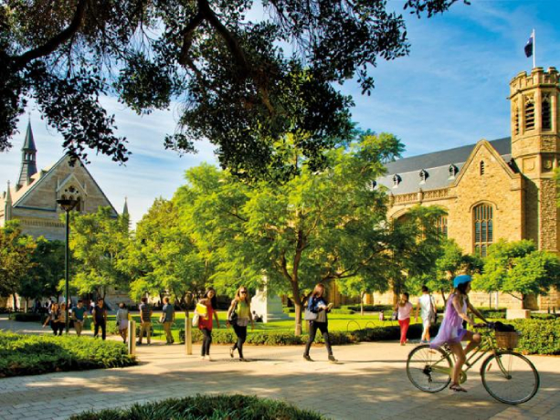 The University of Adelaide