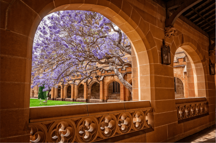 The University of Sydney