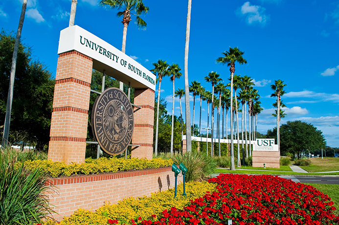 university of south florida virtual tour