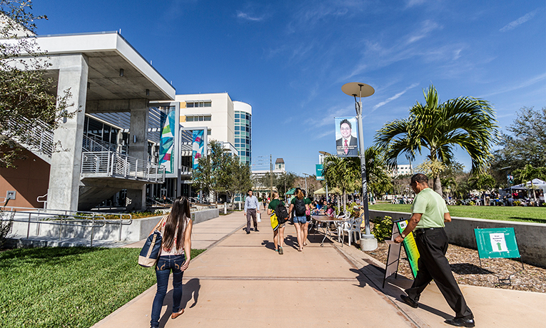 university of south florida undergraduate majors