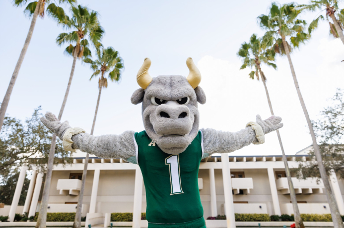 University of South Florida