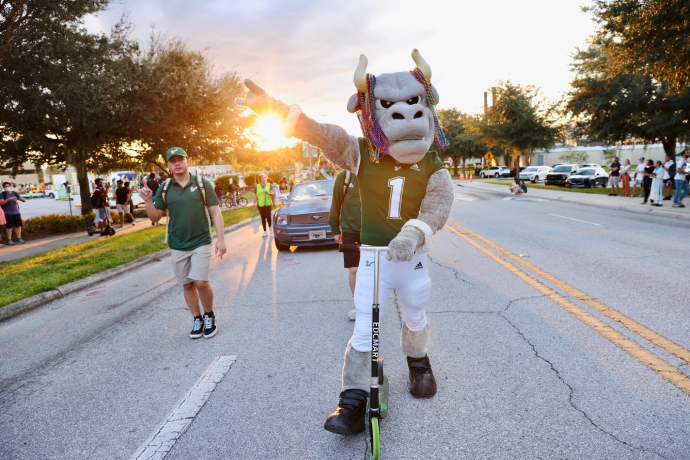 University of South Florida